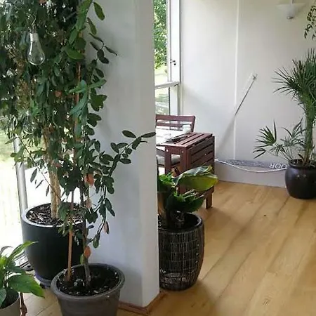 Wake Up Happy In Homestay Malmo